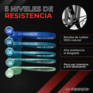 Set 5 Bandas de Resistencia Para Dominadas Con Asas + Anclaje Puerta