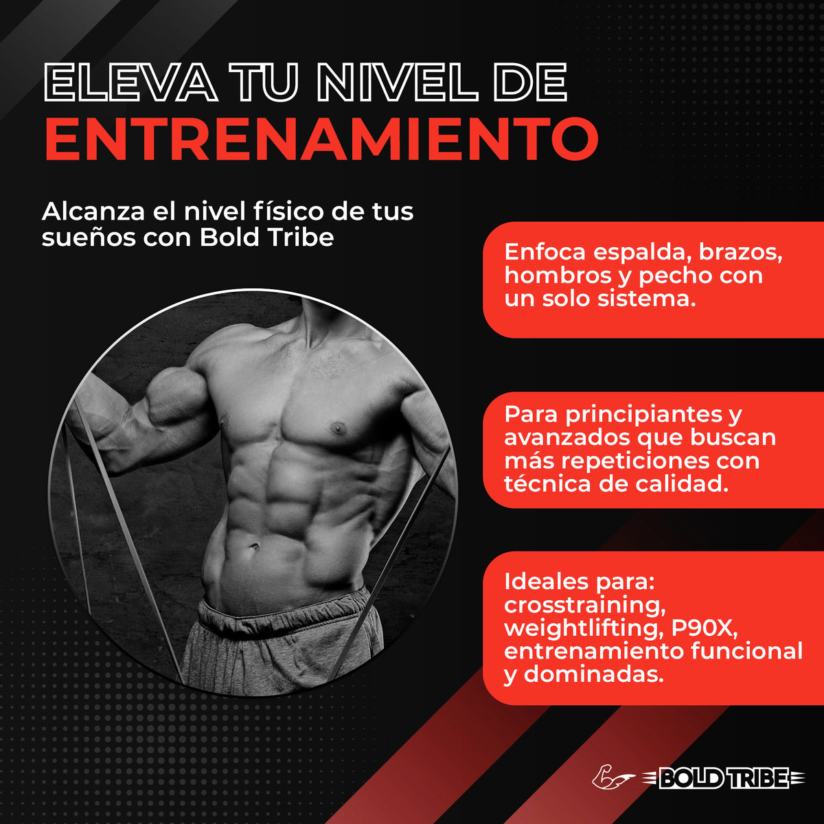 Set 5 Bandas de Resistencia Para Dominadas Con Asas + Anclaje Puerta