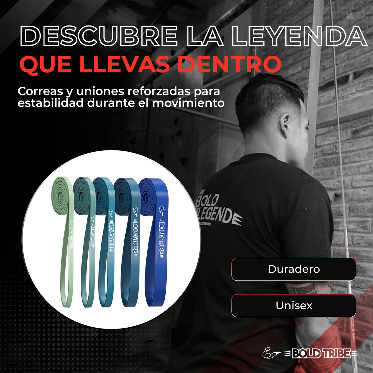 Set 5 Bandas de Resistencia Para Dominadas Con Asas + Anclaje Puerta